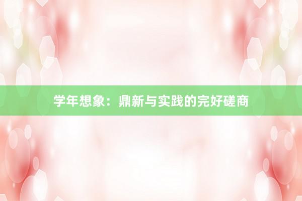 学年想象:鼎新与实践的完好磋商
